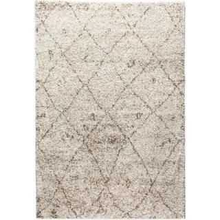 Moroccan Lattice Shag Vanilla Well woven Area Rug (33 X 53)