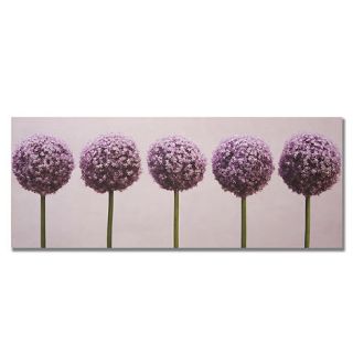 Graham & Brown Printed canvas Row of alliums wall art