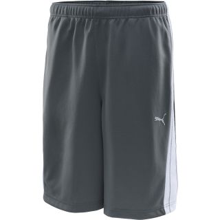 PUMA Mens Formstripe Shorts   Size 2xl, Grey/white