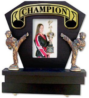 TMAS Deluxe Picture Frame & Belt Display, Champion  Martial Arts Belt Displays  Sports & Outdoors