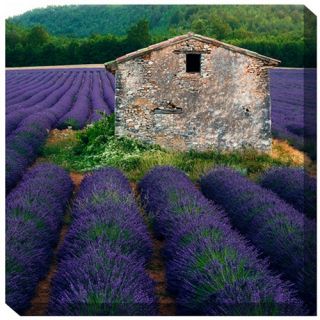 West of the Wind La Lavender Outdoor Canvas Art   Outdoor Wall Art