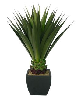 Laura Ashley 43 in. Silk Giant Aloe Plant with Planter   Silk Plants