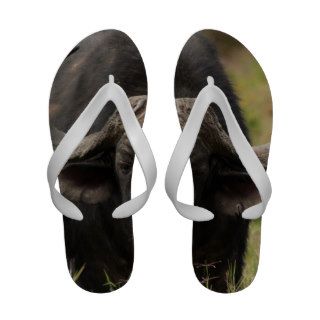 Grazing Water Buffalo Sandals