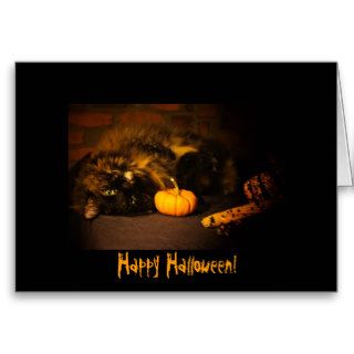 Cute Cat With Pumpkin   Happy Halloween Greeting Cards