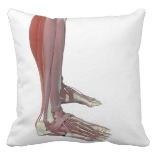 Gastrocnemius and Soleus Muscle Throw Pillow