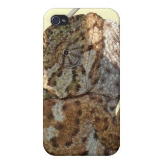 Brown Scaled Chameleon iPhone 4 Cover