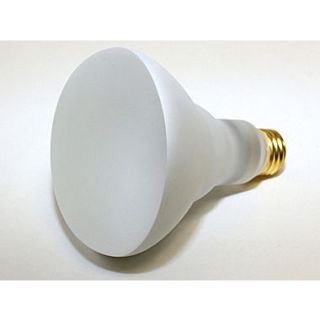 65 Watt Bulbrite BR30 Frost E26 Shatter Resistant Reflector Flood Bulb (12 Pack), Warm White  Make More Happen at