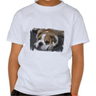 bulldog 26 shirt