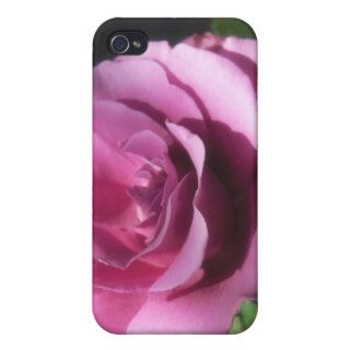 Rosas Moradas 1 iPhone 4/4S Covers