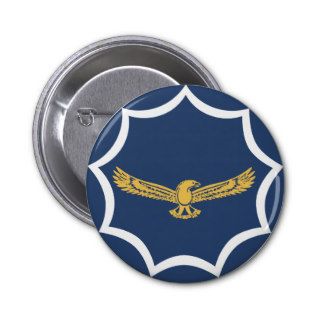 south africa aviation military roundel pins