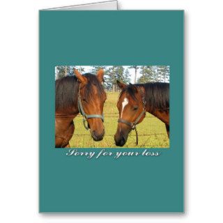 Sorry For Your Loss, Sympathy Two Sad Horses Greeting Cards