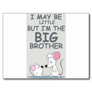 I may be little but I am the Big Brother Post Card