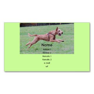 Visiting card “Irish Terrier " Business Card Template