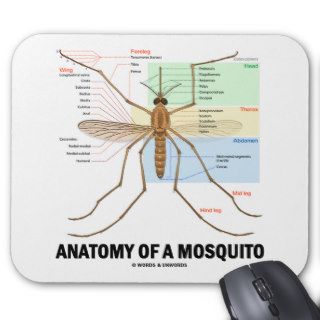 Anatomy Of A Mosquito Mousepads