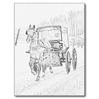 Amish Sketch Horse and Buggy Postcard