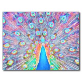 Bright Colorful *Peacock* Spirit Design Post Card