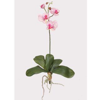 Nearly Natural Mini Phalaenopsis Silk Orchid Flower w/Leaves (6 Stems) in White Pink   Artificial Flowers