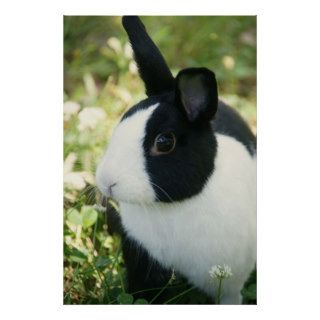 MHRR Dutch black & white bunny rabbit wall poster