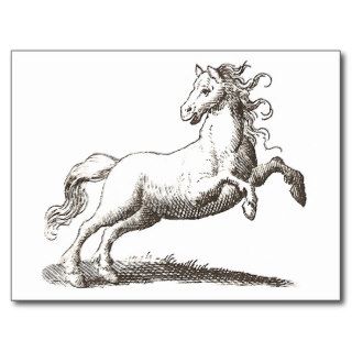 Galloping Horse Renaissance Engraving Postcards