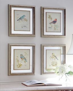 Four Songbird Prints   PARAGON DECORS