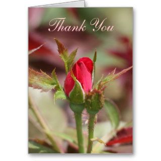 Red Rose Buds Thank You card