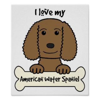 I Love My American Water Spaniel Print