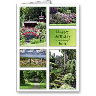 For Son, a birthday card with garden views