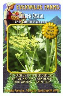 Everwilde Farms   1 Oz Golden Pascal Celery Seeds   Bulk Seed Packet  Vegetable Plants  Patio, Lawn & Garden