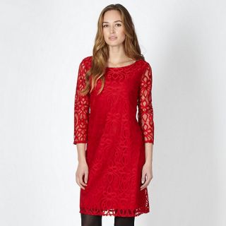 The Collection Red lace tunic dress