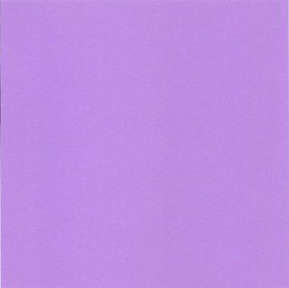 Cre8 a Page 8x8 Grape/Light Purple Cardstock, 25 Sheets, Card Stock, Scrapbooking  Cardstock Papers 