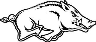 University of Arkansas Razorbacks Bumper Sticker hog 5" x 3" 