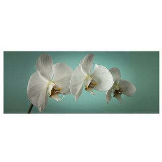 Graham & Brown Teal Orchid printed canvas wall art