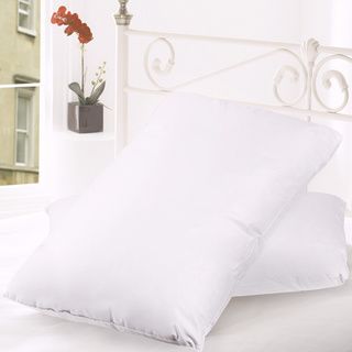 Goose Feather and Down 300 Thread Count Pillow (Set of 2) Down Pillows