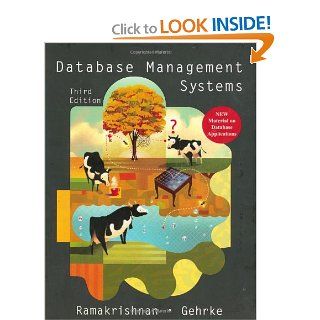 Database Management Systems, 3rd Edition Raghu Ramakrishnan, Johannes Gehrke 9780072465631 Books