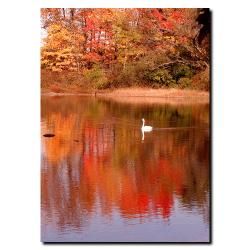 Kurt Shaffer 'Autumn Swan' Canvas Art Trademark Fine Art Canvas