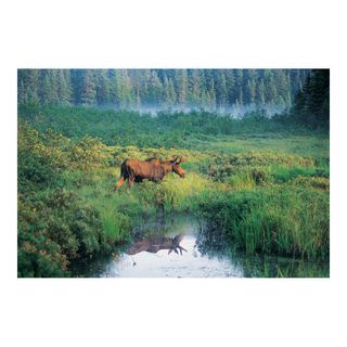 Outset Media Moose Jigsaw Puzzle Outset Media Puzzles