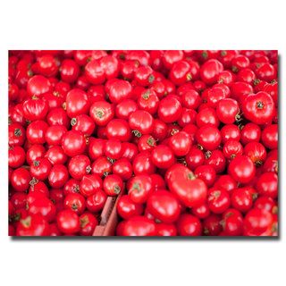 Ariane Moshayedi 'Tomatoes' Canvas Art Trademark Fine Art Canvas