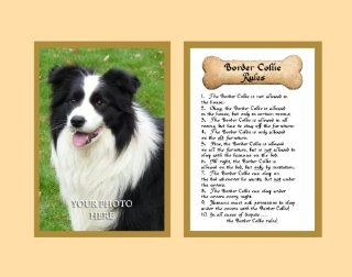Dog Rules Border Collie Wall Decor Pet Saying Dog Saying   Decorative Plaques