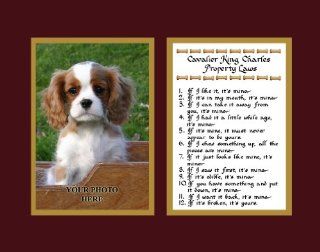 Cavalier King Charles Property Laws Wall Decor Pet Saying Dog Saying Cavalier King Charles Saying   Decorative Plaques