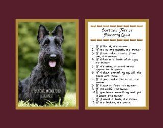 Scottish Terrier Property Laws Wall Decor Humorous Pet Dog Saying Gift   Decorative Plaques
