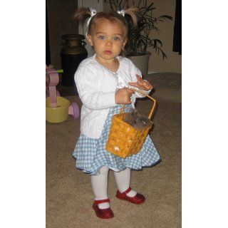 Infant 24 Months Fancy Infant Dorothy Costume Dress Clothing
