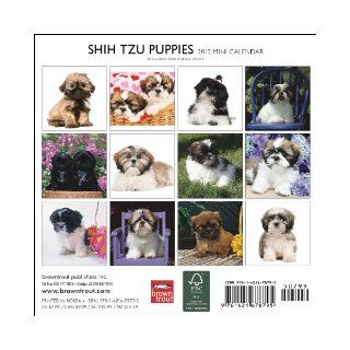 Shih Tzu Puppies 2012 7X7 Mini Wall Calendar BrownTrout Publishers Inc 9781421678795 Books