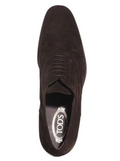 Suede brogues  Tod's