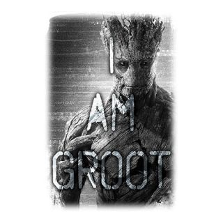 iCanvas I Am Groot, Movie Poster by Marvel Comics Graphic Art on