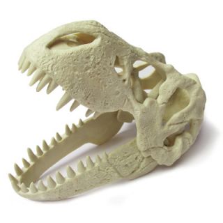Geo World Dino T Rex Skull Excavation Kit