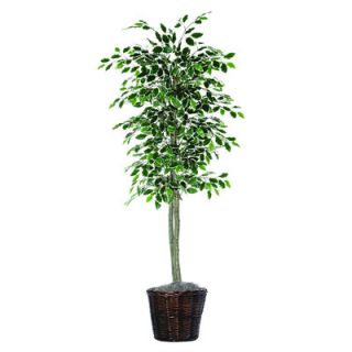 Vickerman Economy 6 Artificial Potted Natural Variegated Ficus
