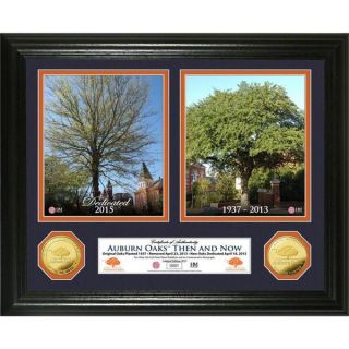 Auburn Oaks Dedication Supreme Bronze Coin Mounted Panoramic Photo