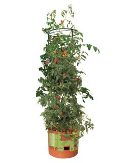 Hydrofarm Tomato Barrel with 4 ft. Tower GCTB   Raised Bed & Container Gardening