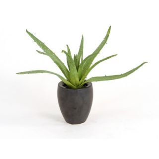 Distinctive Designs Silk Greenery Aloe Floor Plant in Pot (Set of 2)