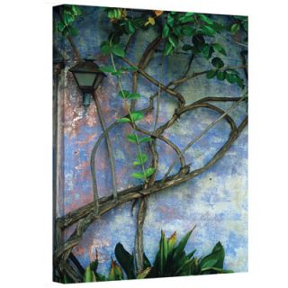Art Wall Vine and Wall by Kathy Yates Photographic Print on Canvas
